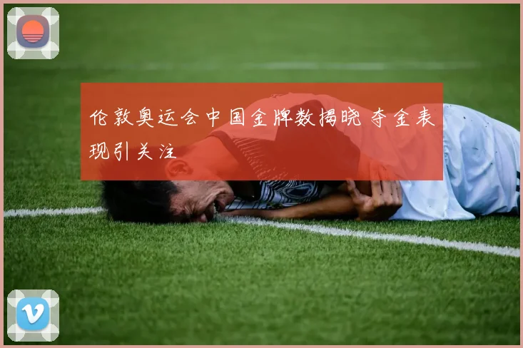 伦敦奥运会中国金牌数揭晓 夺金表现引关注