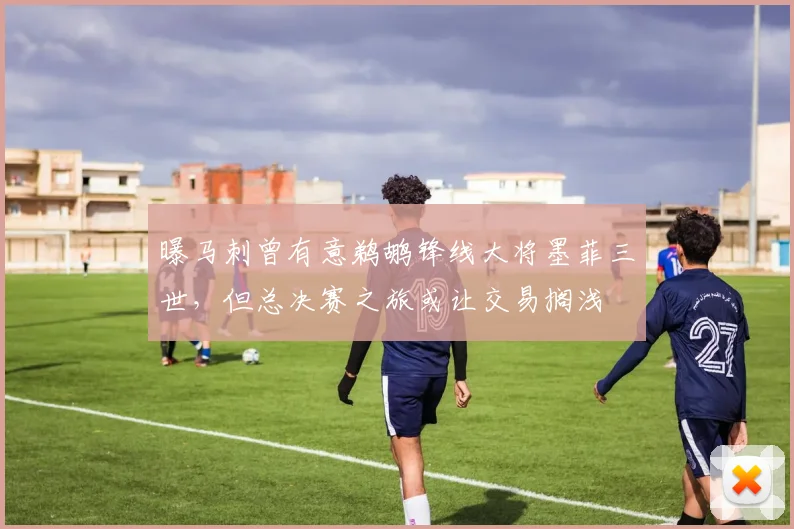 曝马刺曾有意鹈鹕锋线大将墨菲三世，但总决赛之旅或让交易搁浅