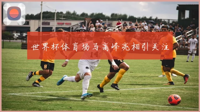 世界杯体育场马高峰亮相引关注