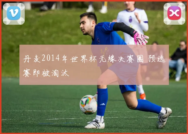 丹麦2014年世界杯无缘决赛圈 预选赛即被淘汰